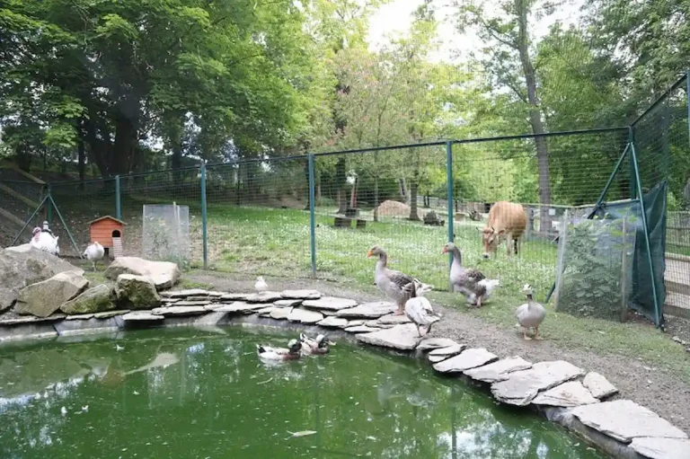 Ferme Pédagogique de Mantes-la-Jolie