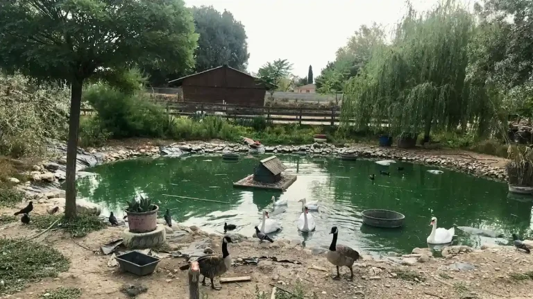Ferme Pédagogique de Rousson