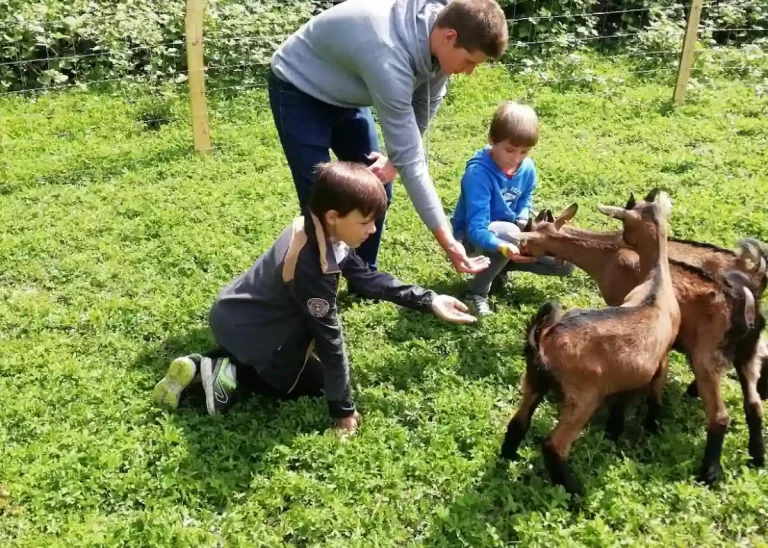 Ferme Pédagogique des Iriselles