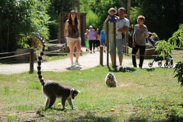Parc De L’Auxois
