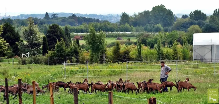 ferme pédagogique de charly