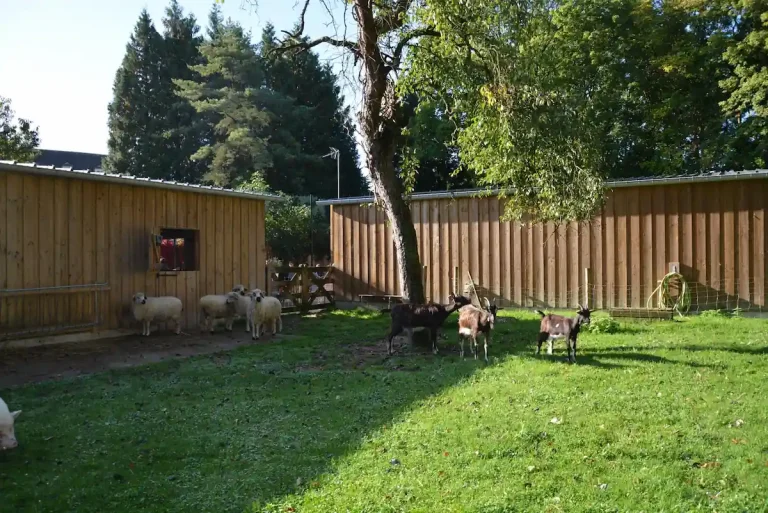 ferme pédagogique de pontoise