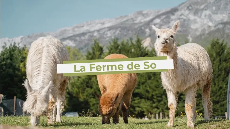 Ferme pédagogique de So