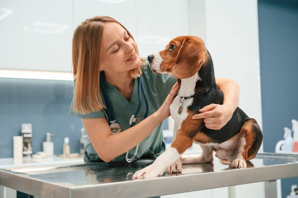 media-veterinaire-reflexes-urgence