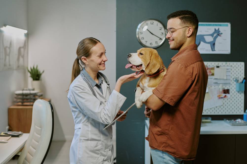 media-veterinaire-reflexes